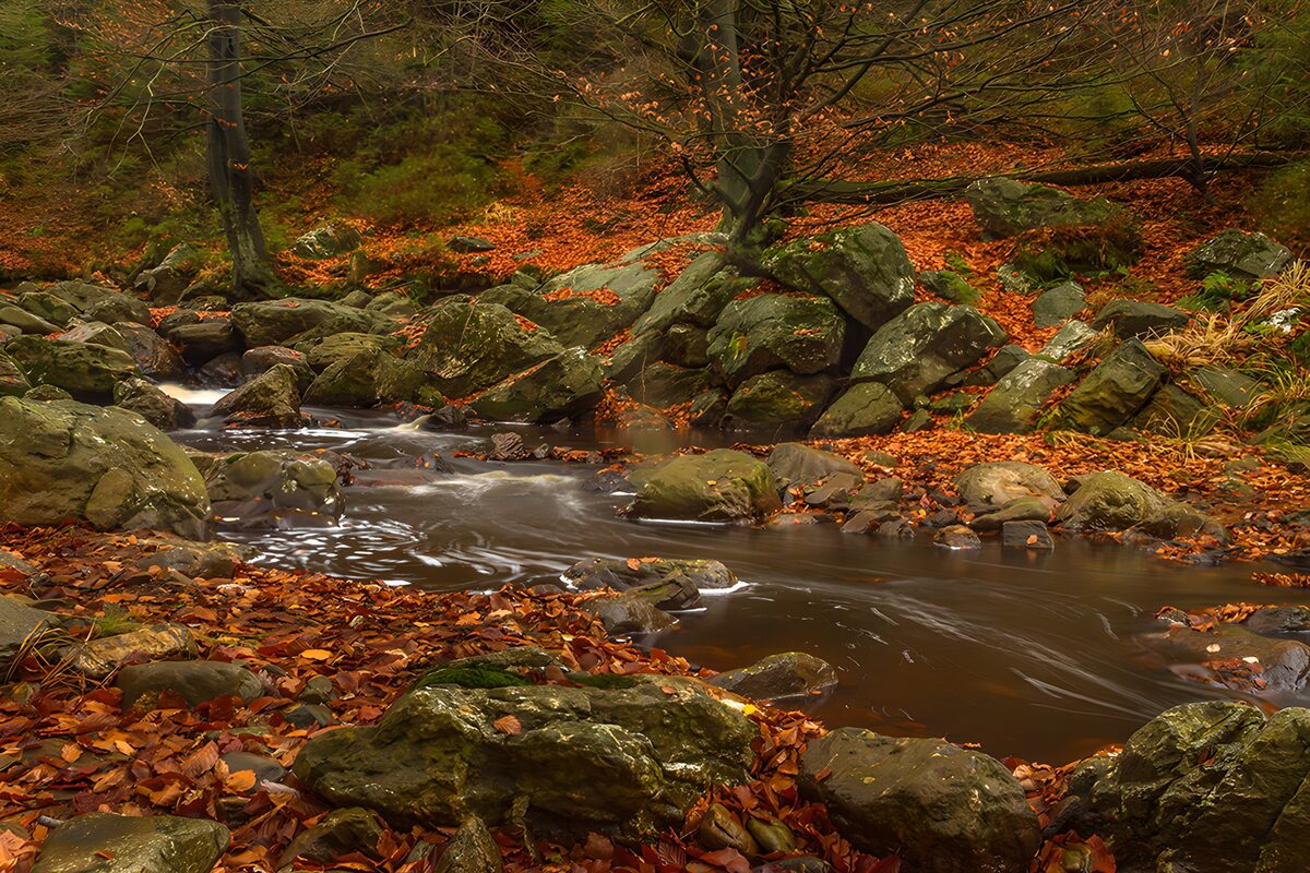 Herbstbach zwischen moosigen Felsen