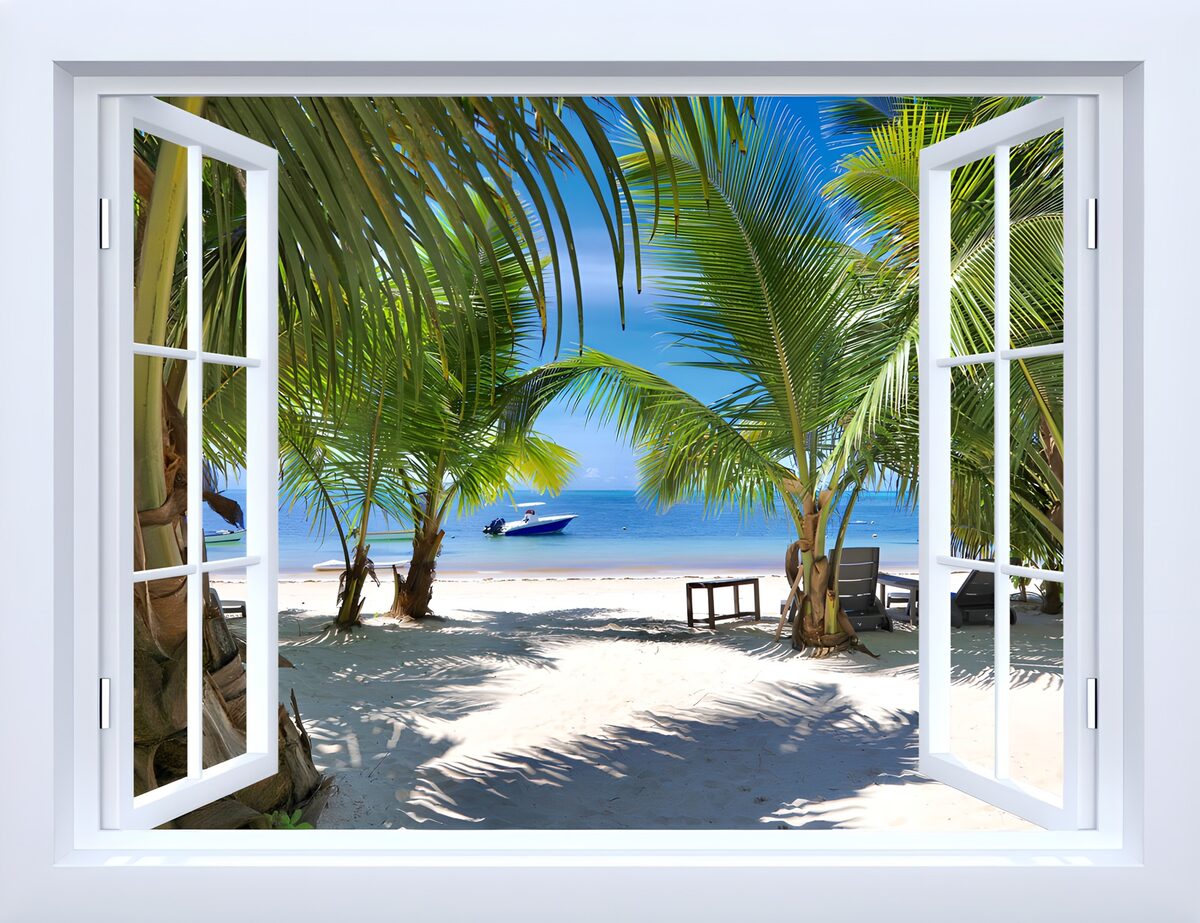 Ein Fenster voller Palmen und Fernweh