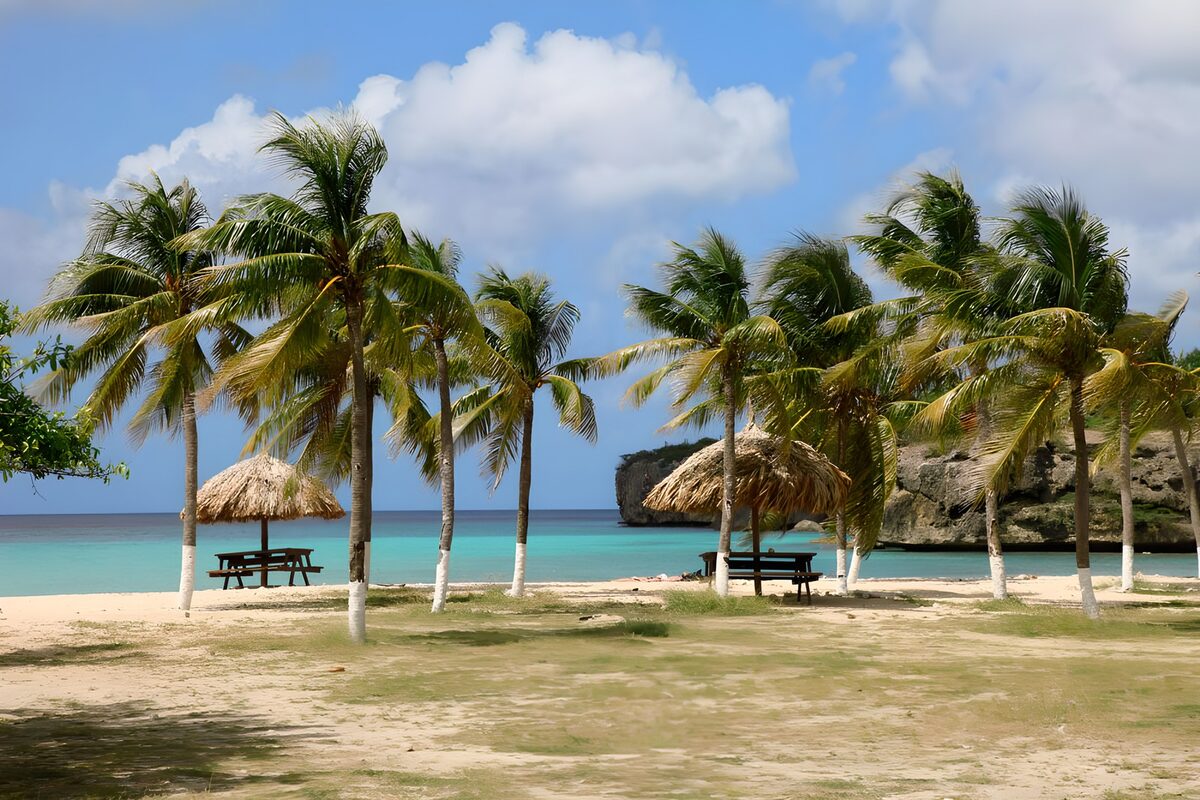 Palmenstrand mit schattigen Picknicktischen