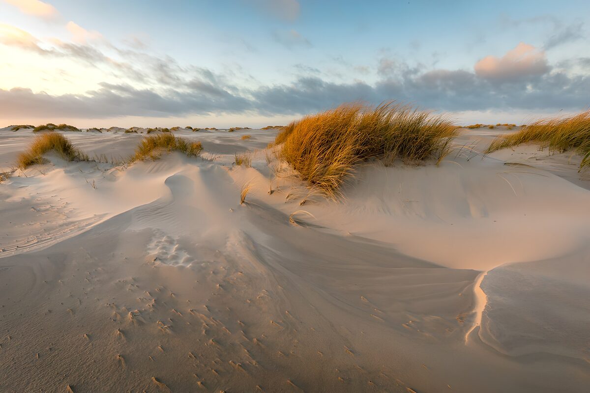 Sanddünen mit Gras im weichen Licht