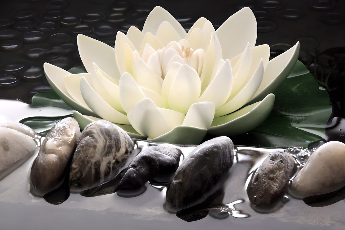 Weiße Seerose und glänzende Kiesel