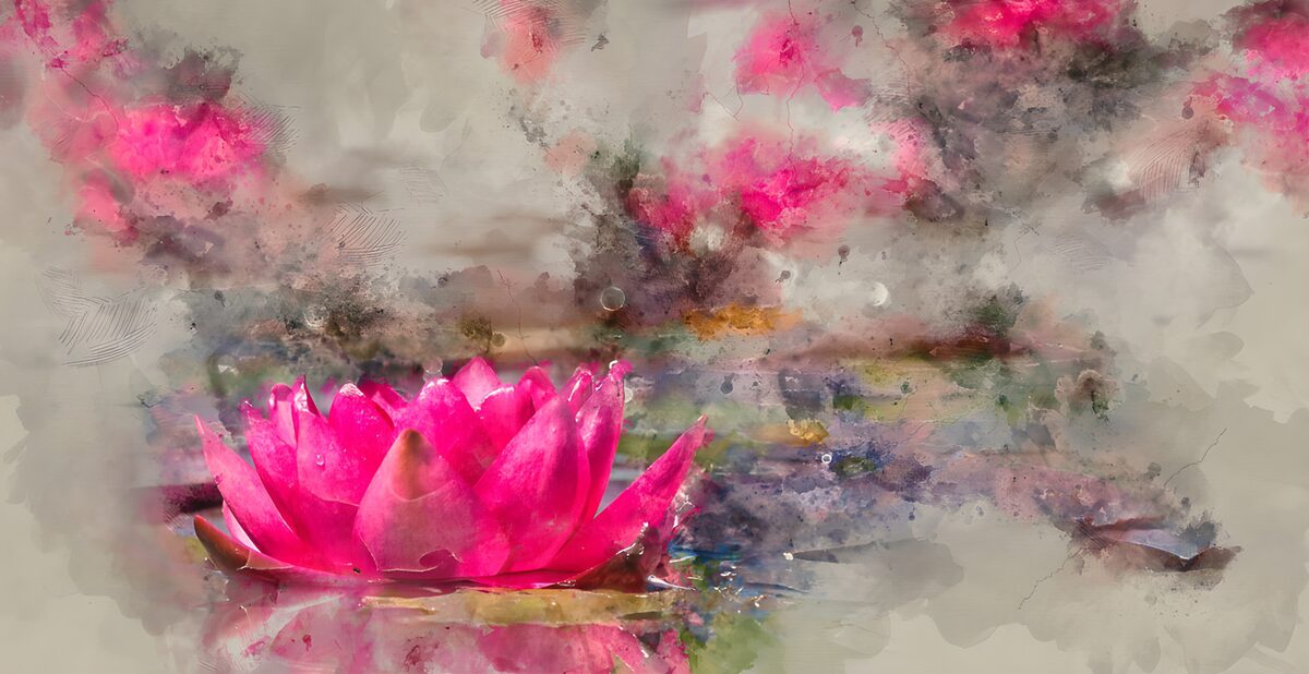 Pinke Wasserblüte auf stillem Teich