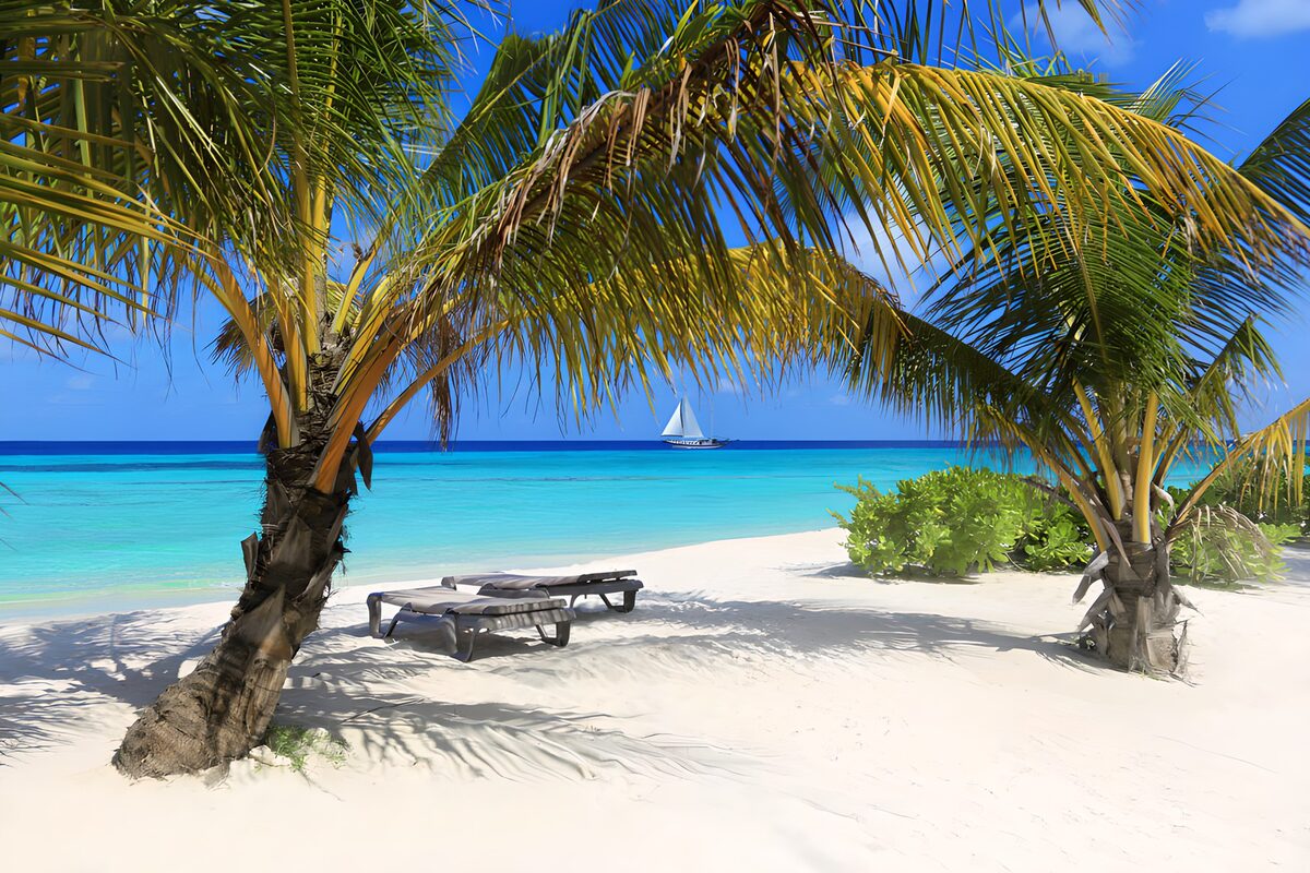 Palmenstrand mit Liegen im Schatten