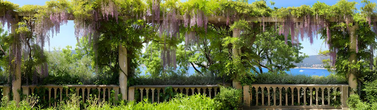 Blauregenpergola mit Meerblick