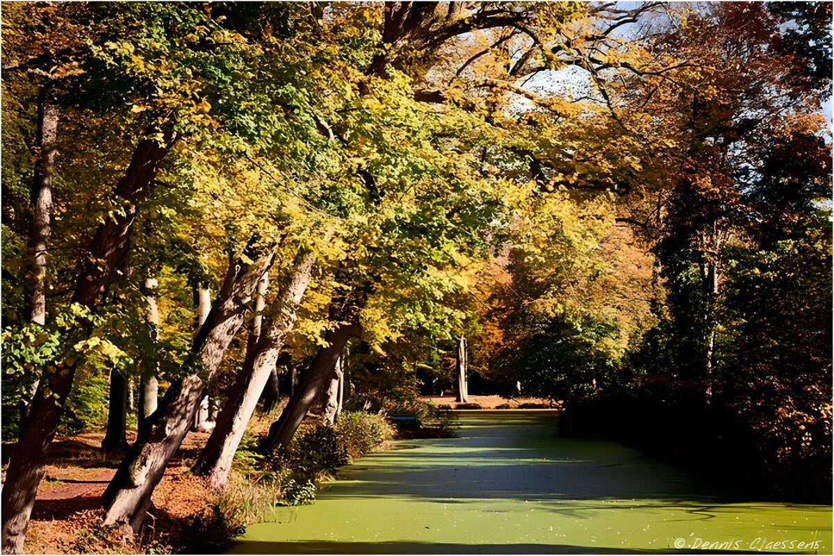 Grünes Wasser unter gelben Herbstbäumen