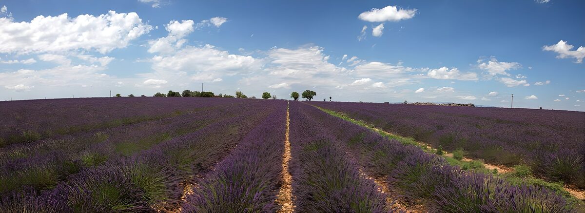 Wo Lavendel und Wolken sich treffen