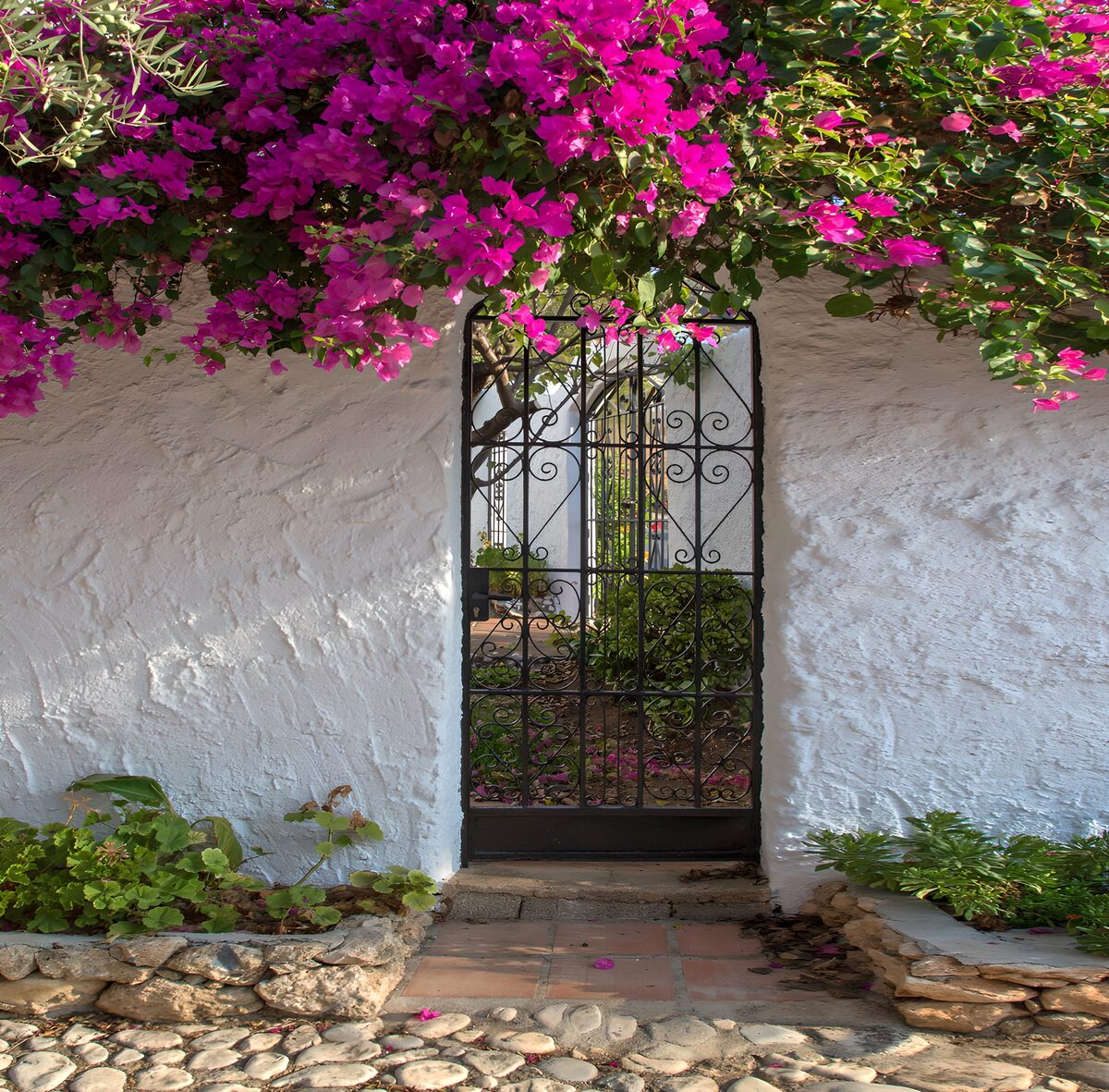 Eisentor und Bougainvillea in der Sonne