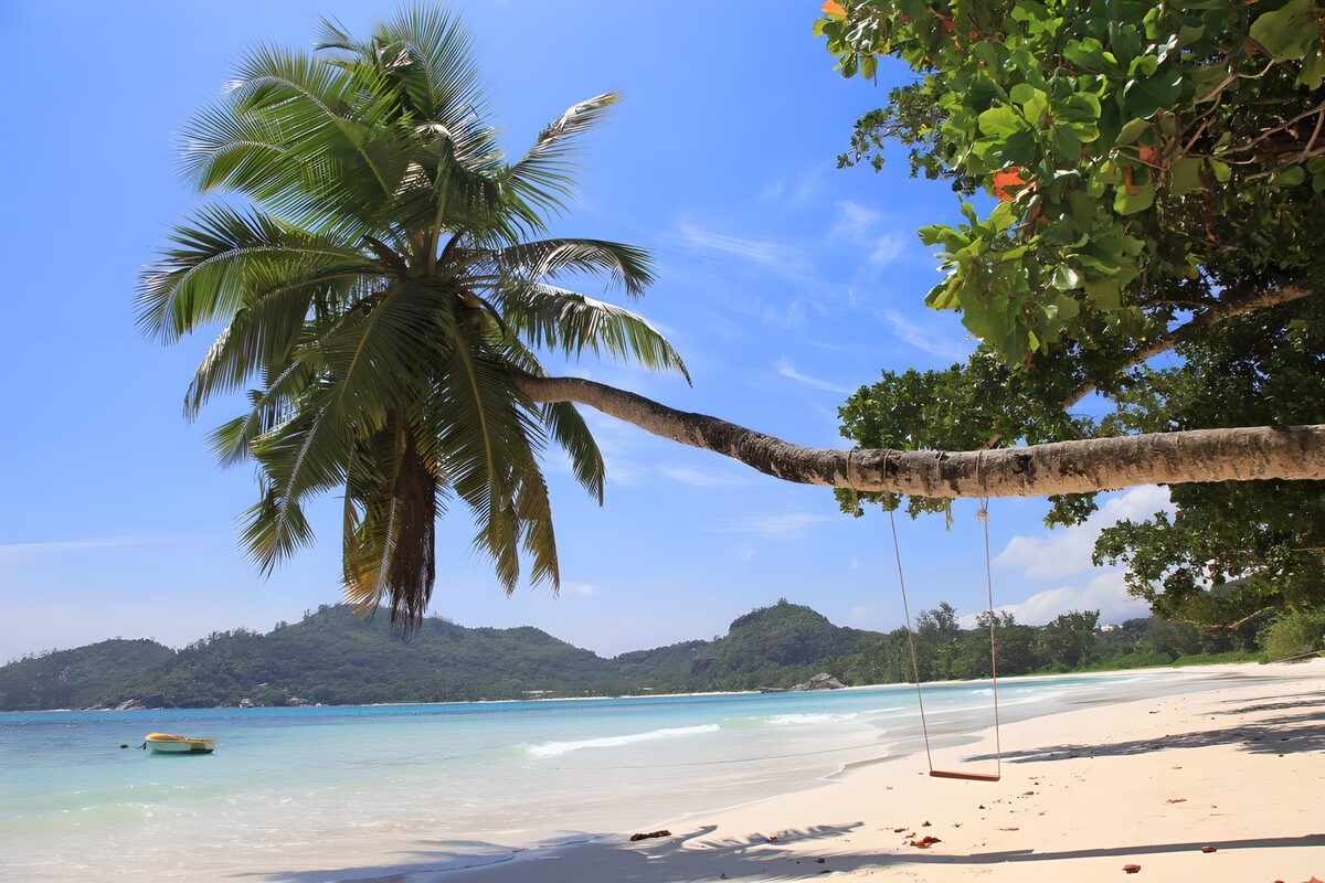 Palme und Schaukel am türkisblauen Meer