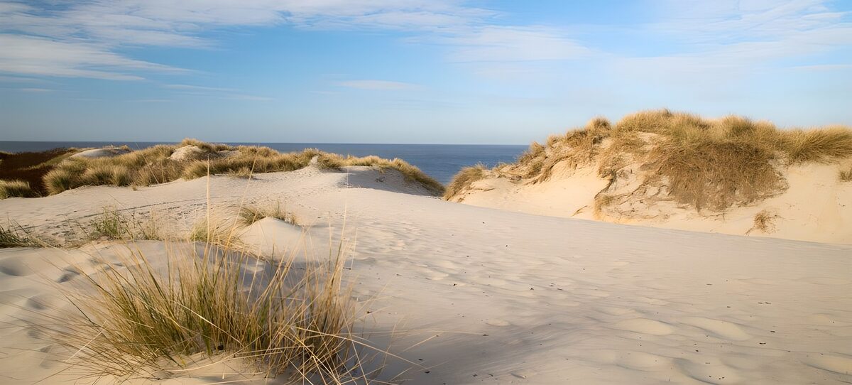 Helle Dünen mit Gras und Meerblick