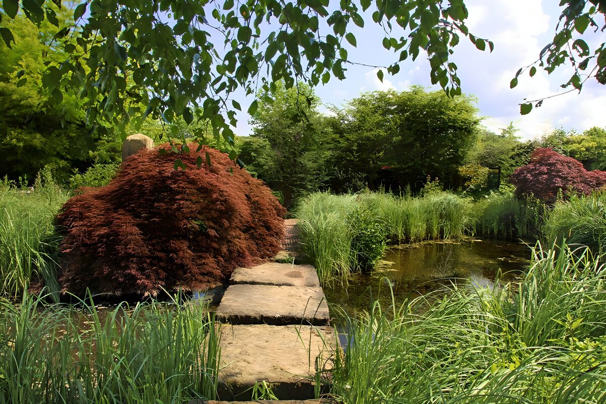 Gartenteich mit rotem Ahorn und Steinweg