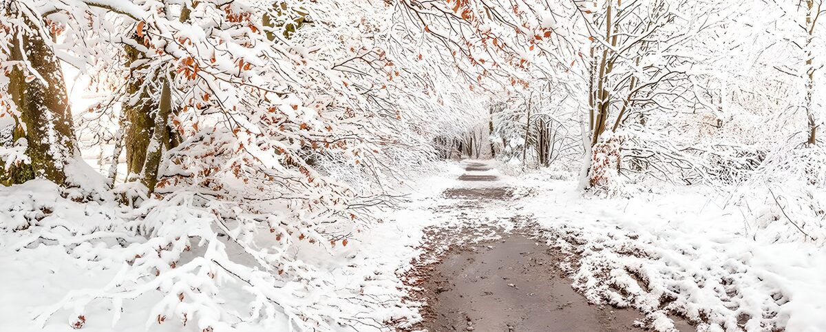 Schmaler Pfad durch den verschneiten Wald