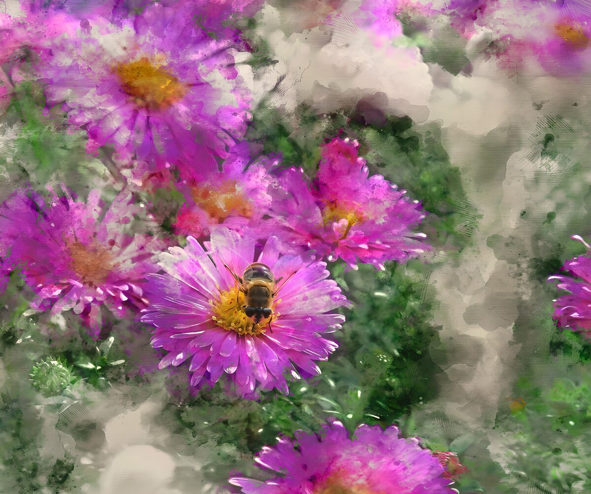 Rosa und lila Blüten in Aquarelloptik