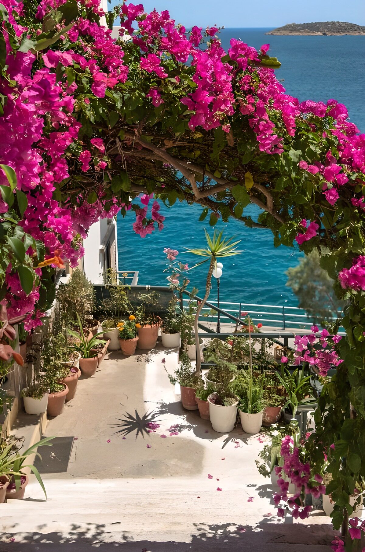 Sonnenterrasse mit Bougainvillea am Meer