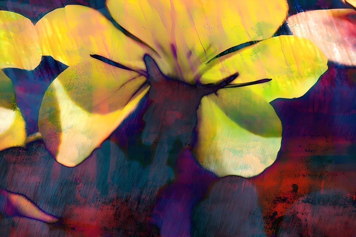 Gelbe Blüte vor kräftigen Farben