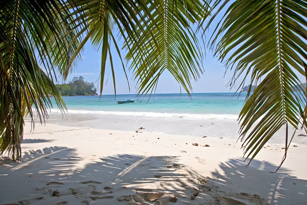 Palmenstrand mit türkisblauem Wasser