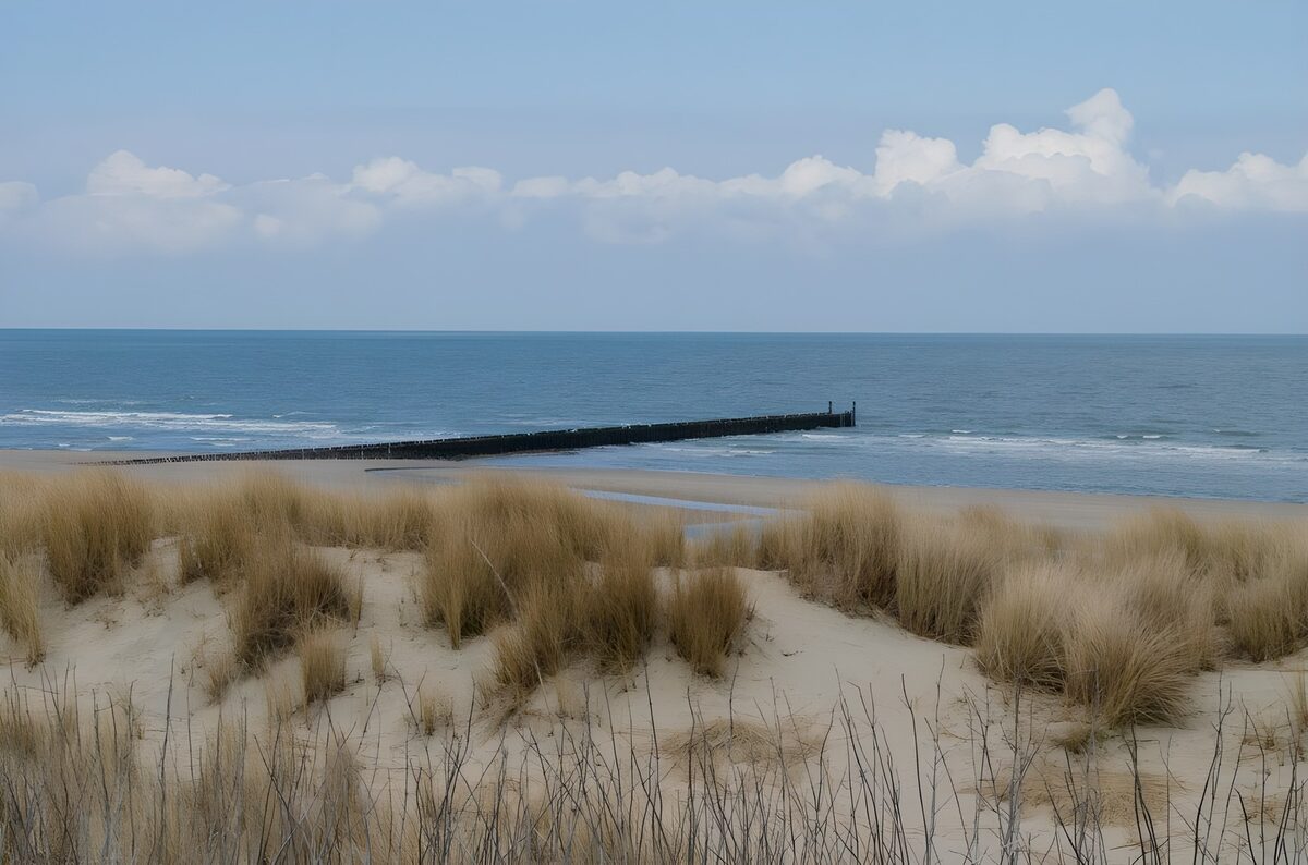 Dünengras und Buhne am weiten Strand