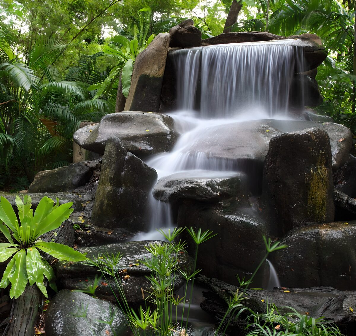 Tropischer Wasserfall über dunkle Felsen