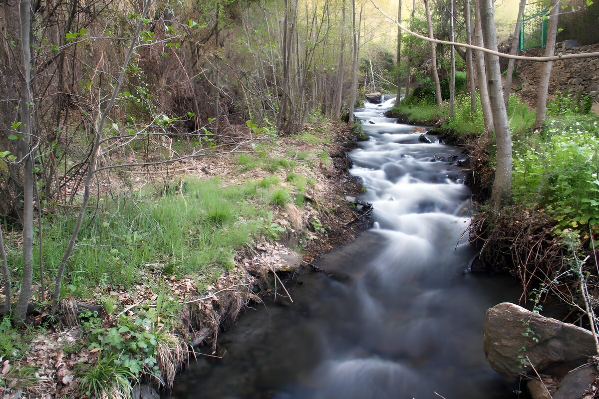 Waldbach über Felsen im Frühlingsgrün
