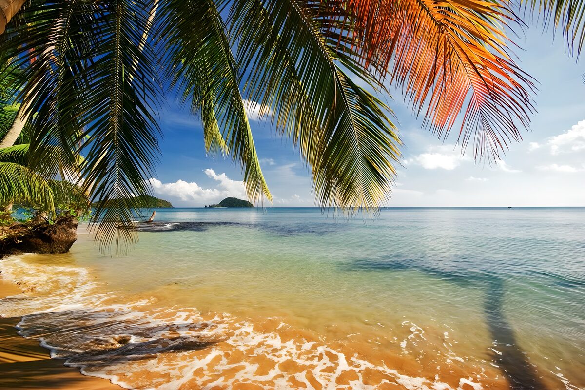 Tropenstrand unter Palmenwedeln