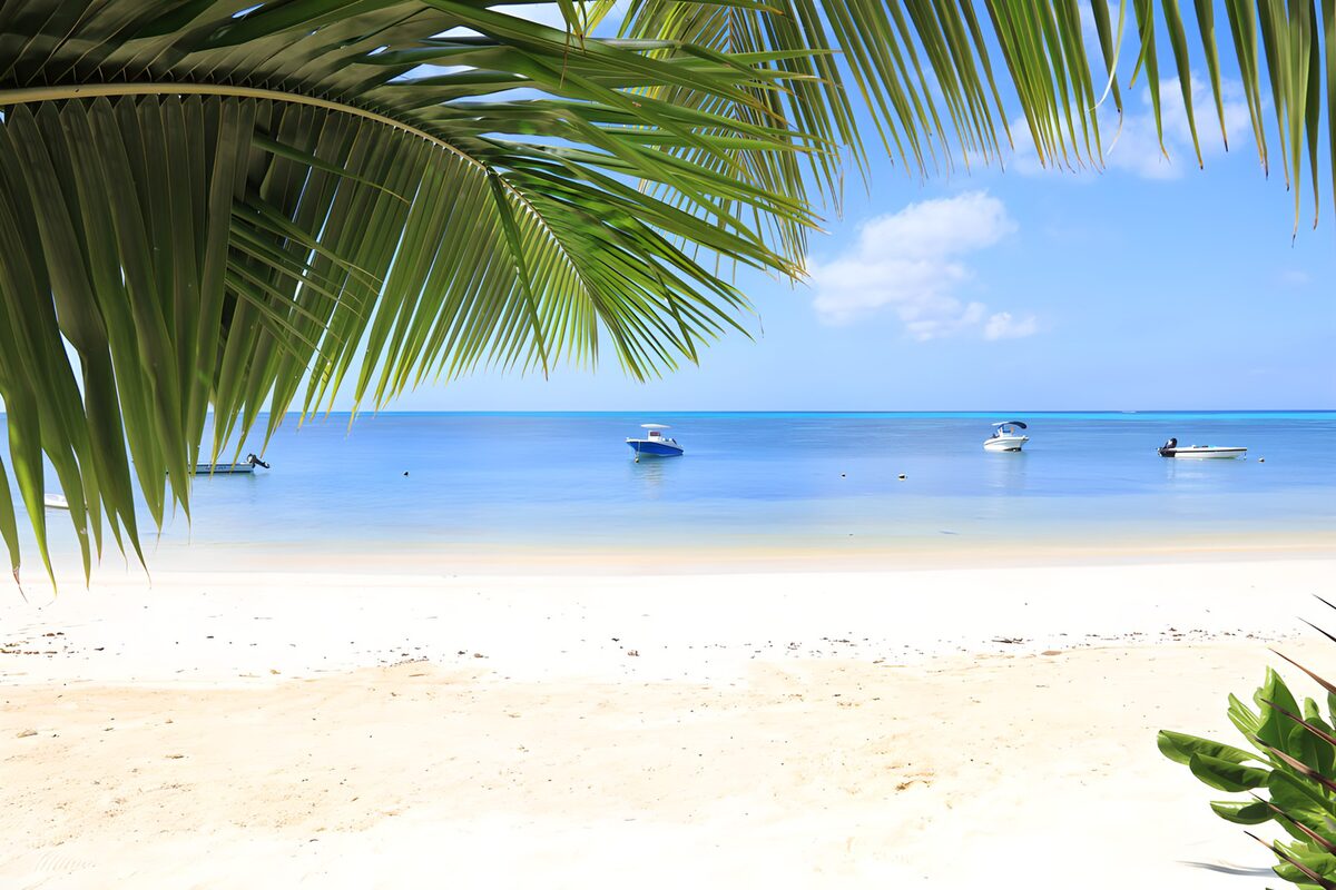 Palmenstrand mit Booten im blauen Meer
