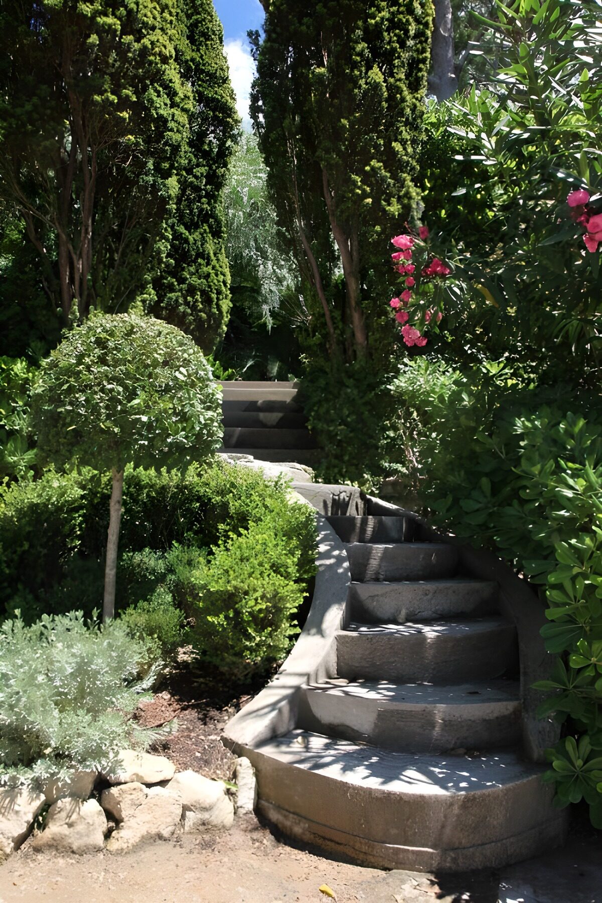 Steintreppe im üppig grünen Garten