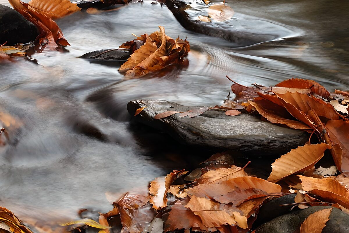 Herbstlaub und Steine im fließenden Bach