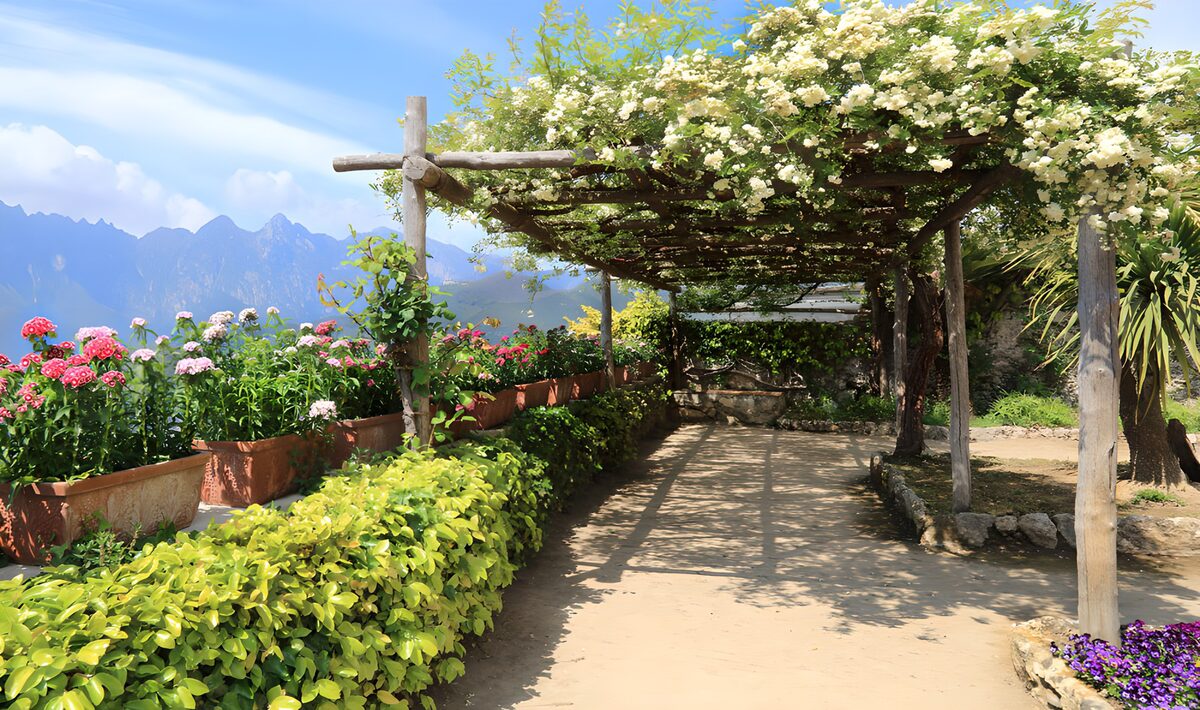 Blühende Pergola am sonnigen Gartenweg