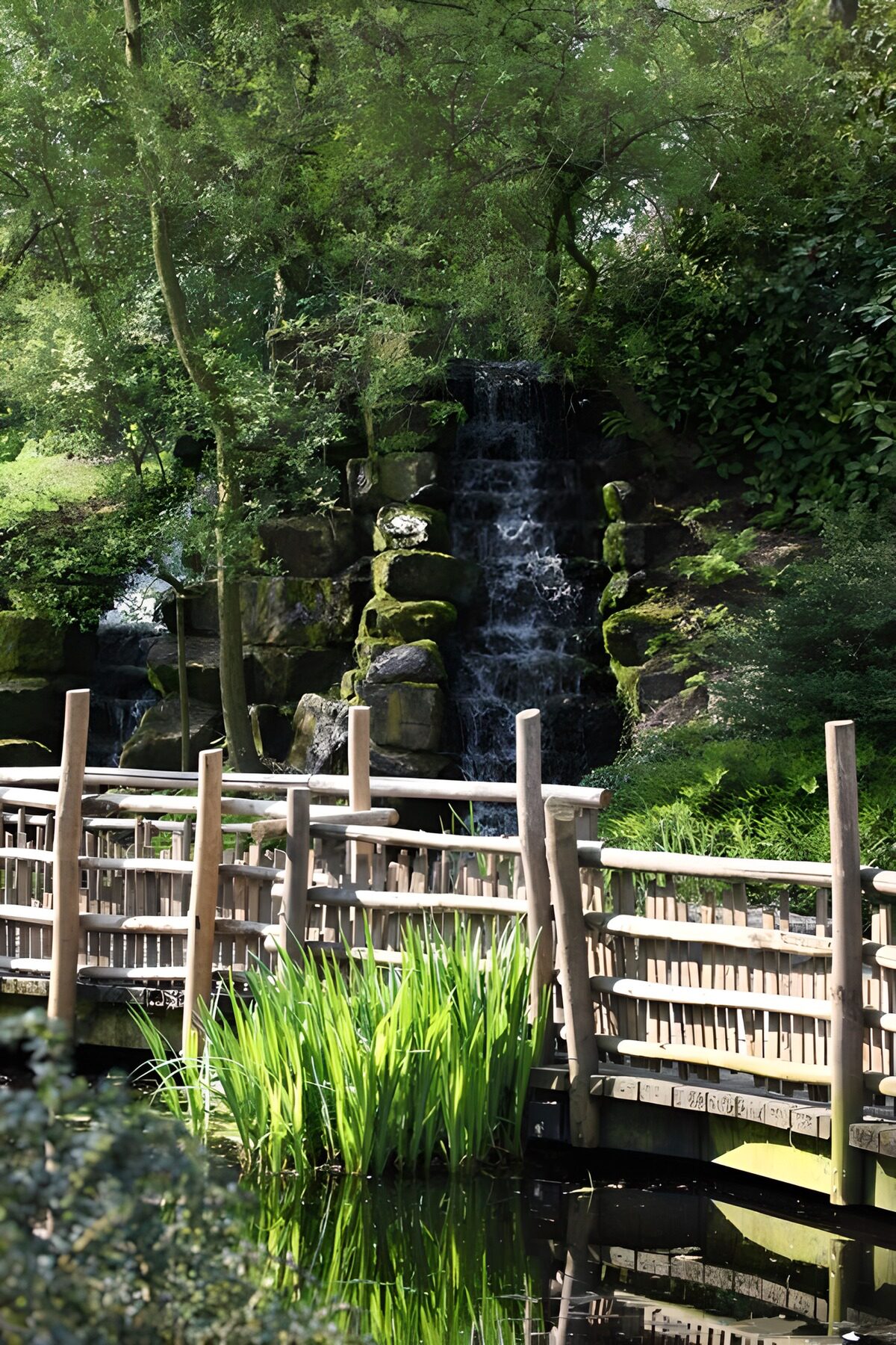 Holzbrücke vor schattigem Wasserfall