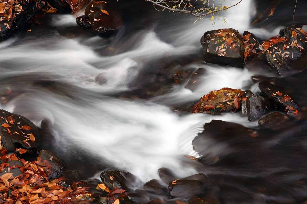 Herbstbach zwischen dunklen Felsen