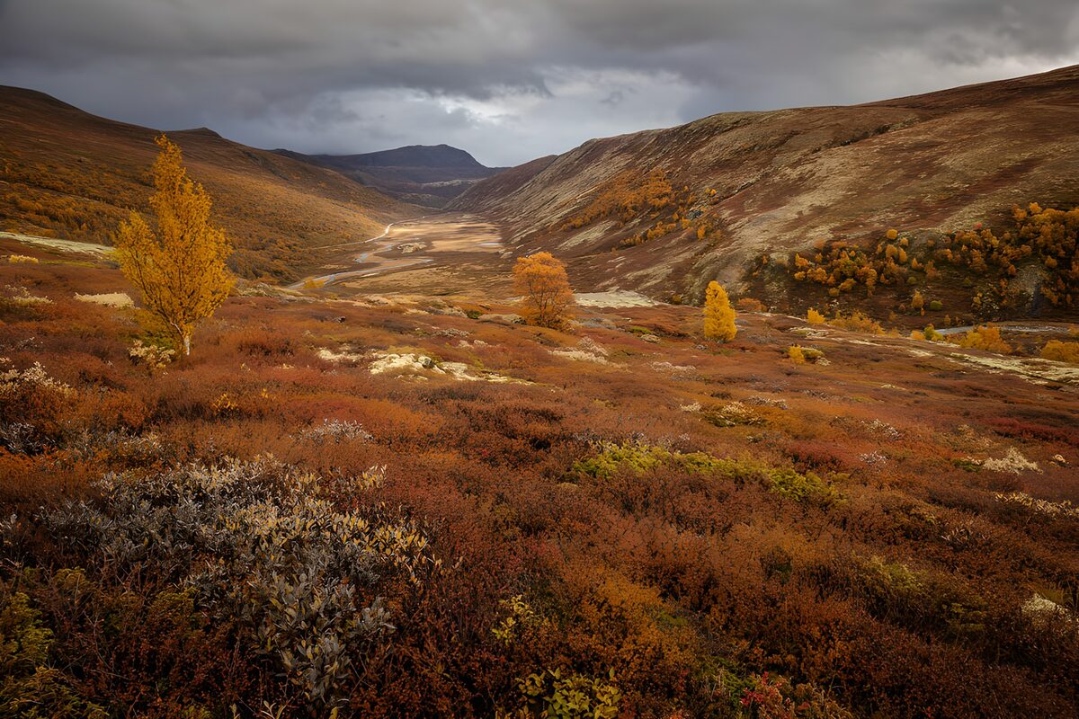 Herbstliches Bergtal unter grauen Wolken