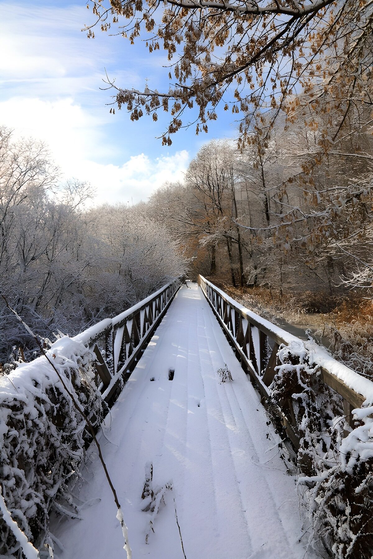 Verschneite Holzbrücke im stillen Winterwald