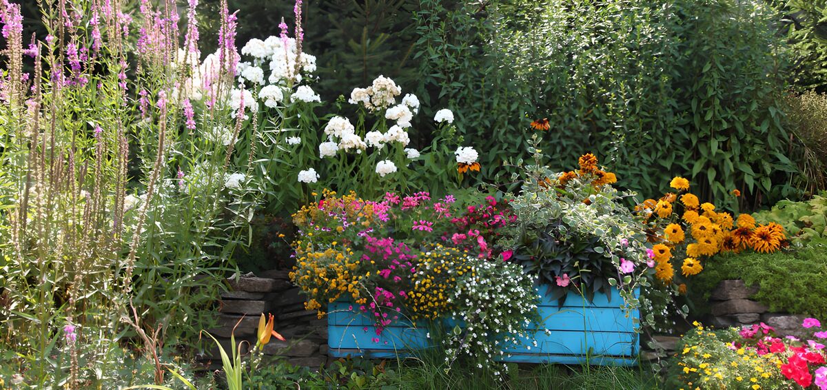 Sommerblumen im türkisblauen Pflanzkasten