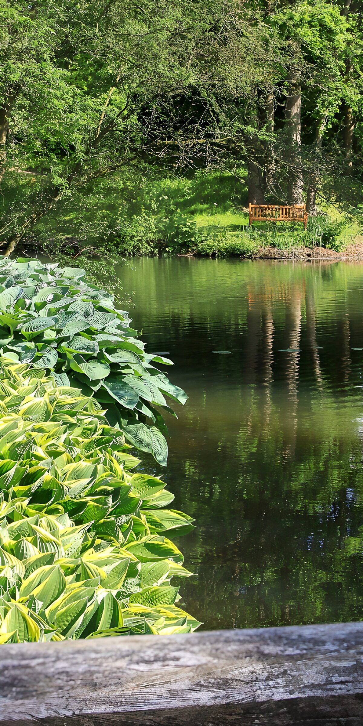 Gartenteich mit Bank im Grünen