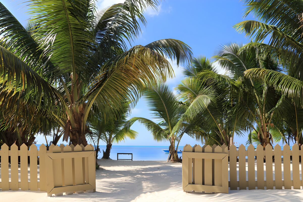 Strandzugang unter Palmen