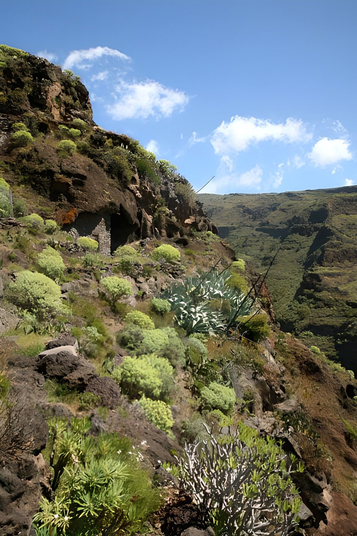 Sonniger Felshang über grüner Schlucht