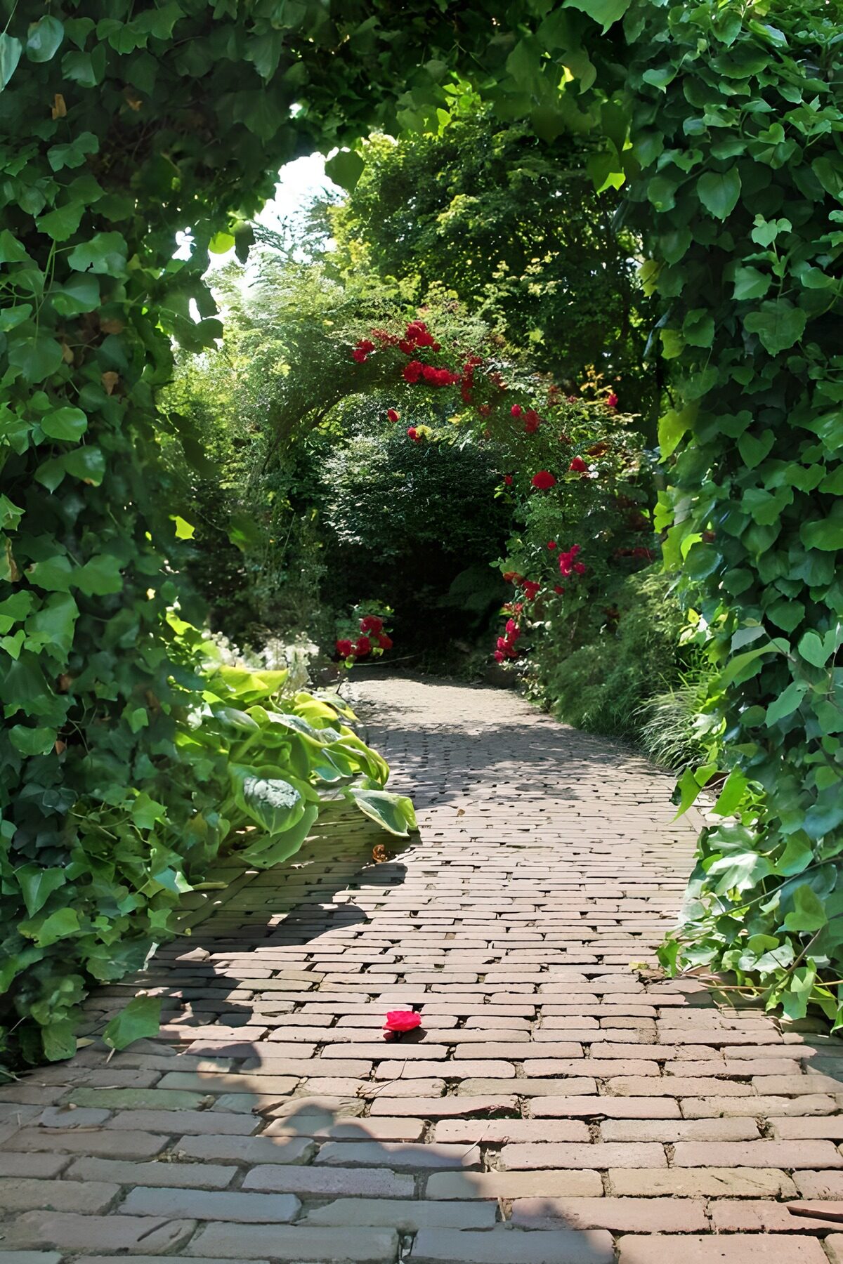Schattiger Gartenweg mit Efeubogen