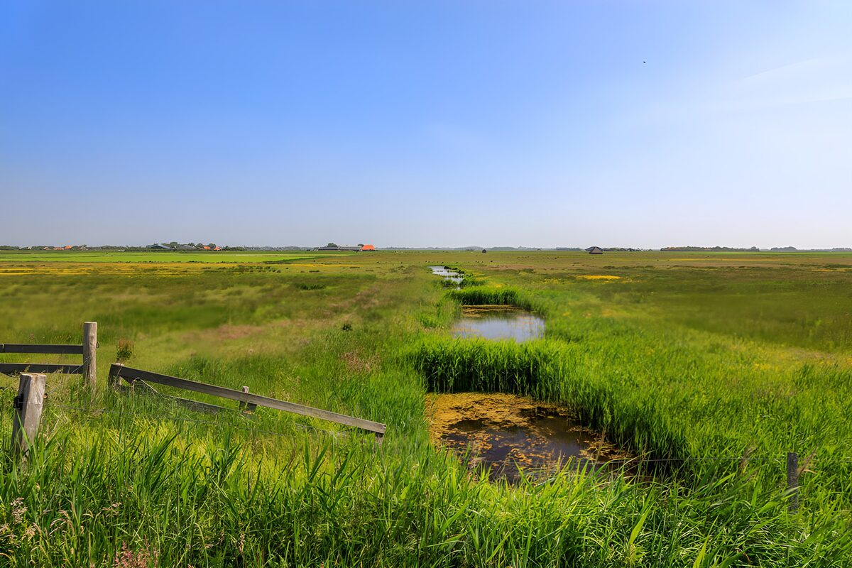 Wiesengraben unter blauem Himmel