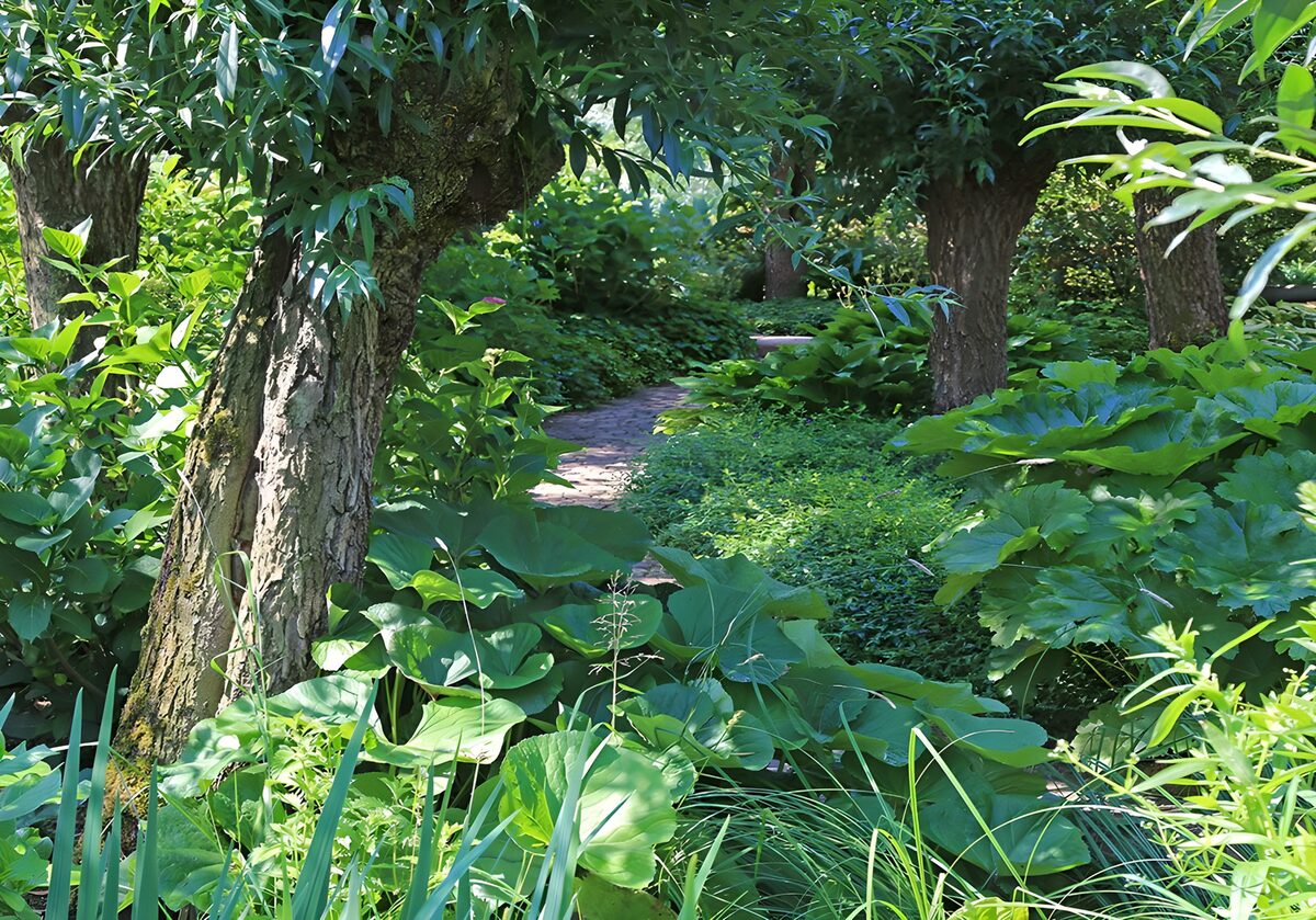 Schmaler Gartenweg im satten Grün