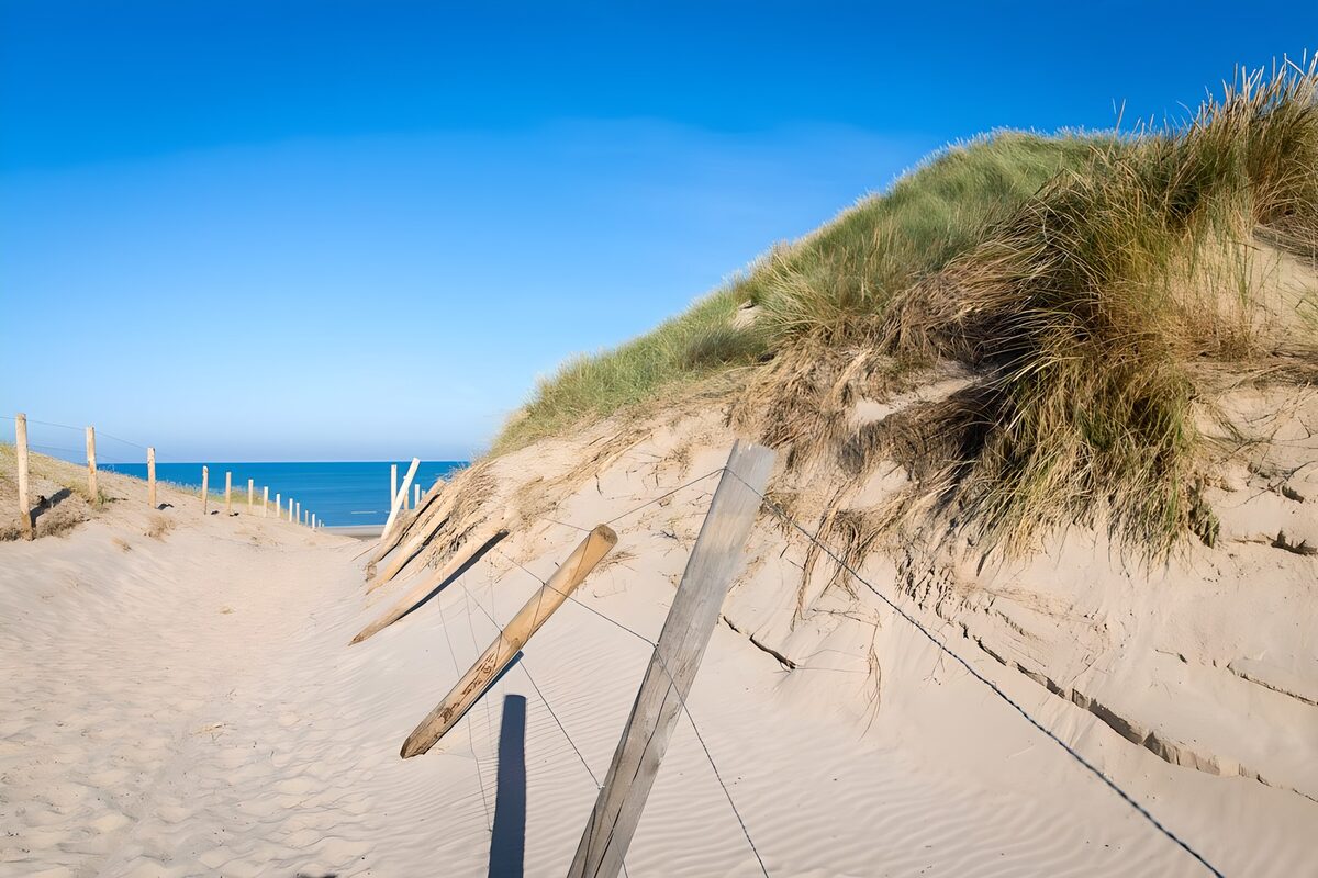 Sandweg zwischen Dünen und blauem Meer