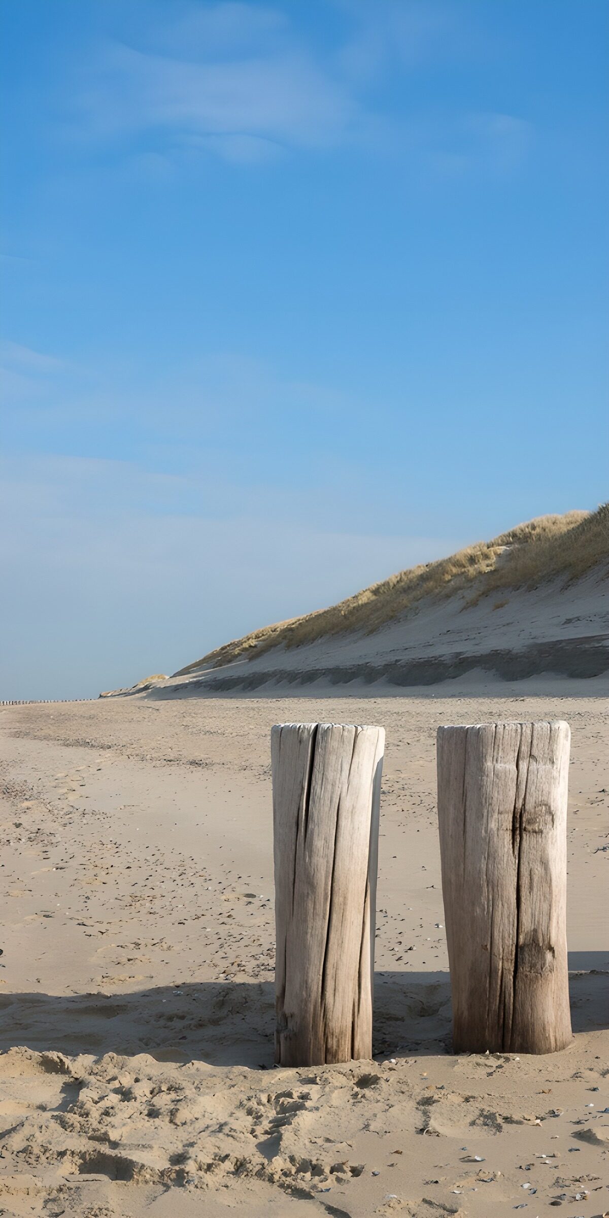 Zwei Holzpfähle am stillen Dünenstrand