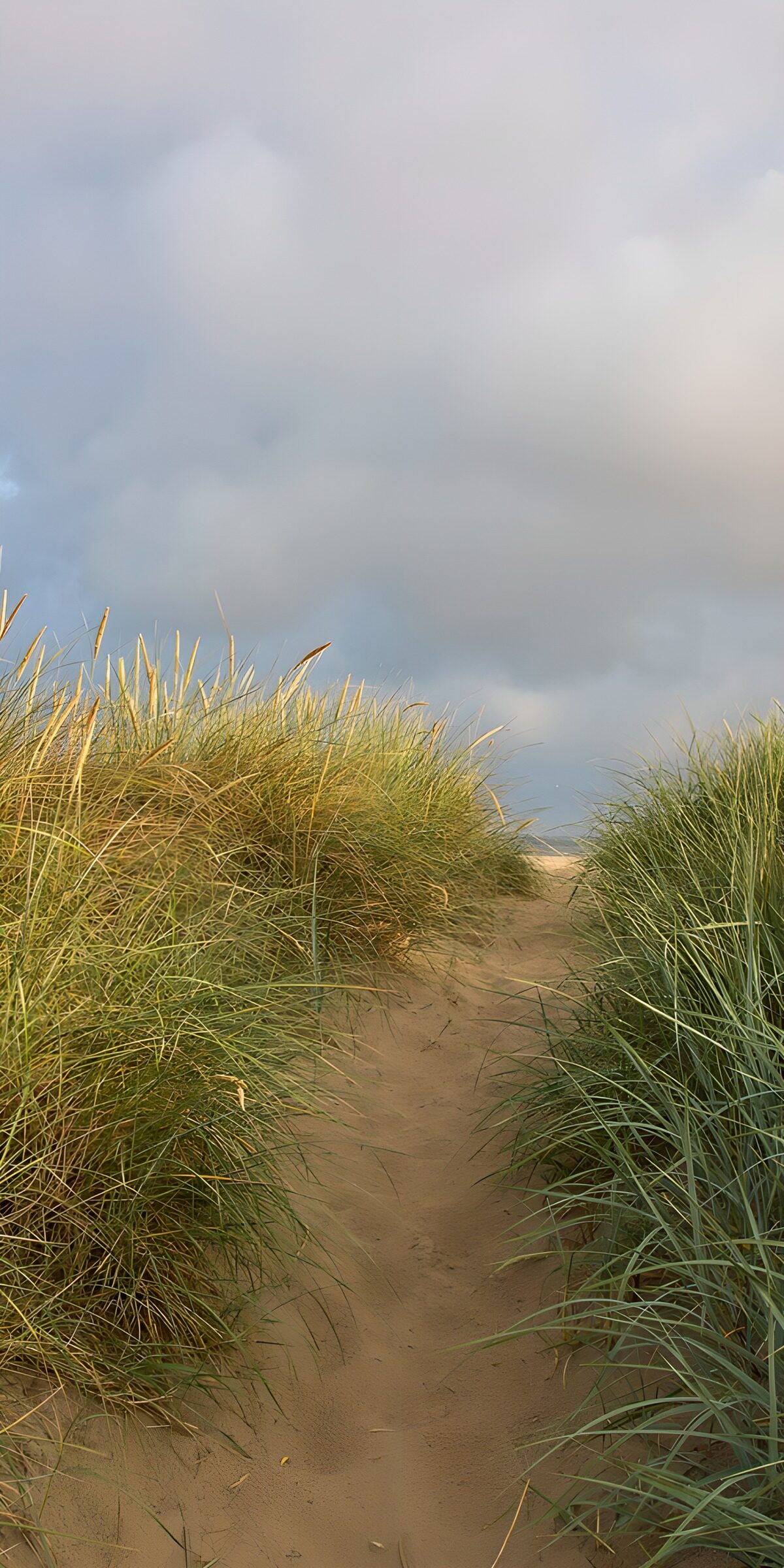 Sandweg durch Dünen unter grauem Himmel