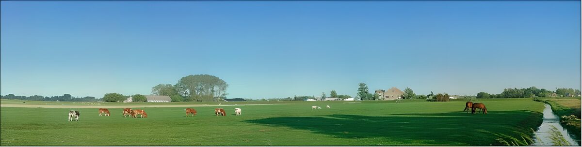 Kühe und Pferde auf weiter grüner Wiese