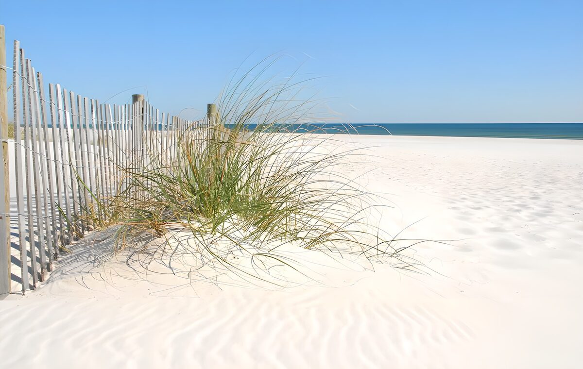 Holzzaun und Dünengras am ruhigen Meer