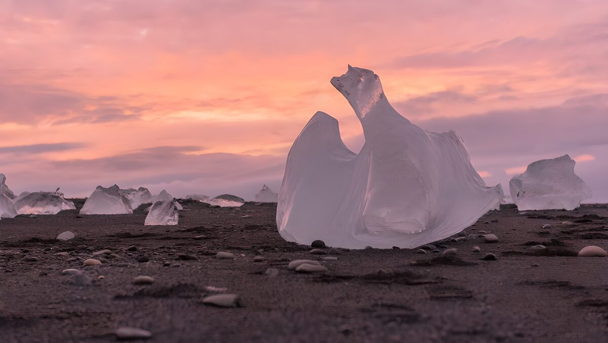 Eisblöcke auf schwarzem Sand im rosa Licht