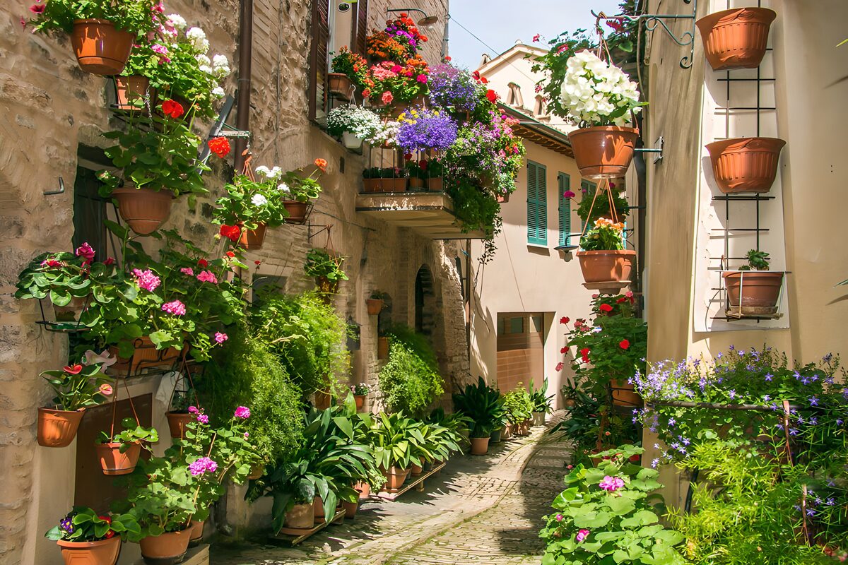 Sonnige Gasse voller Blumentöpfe
