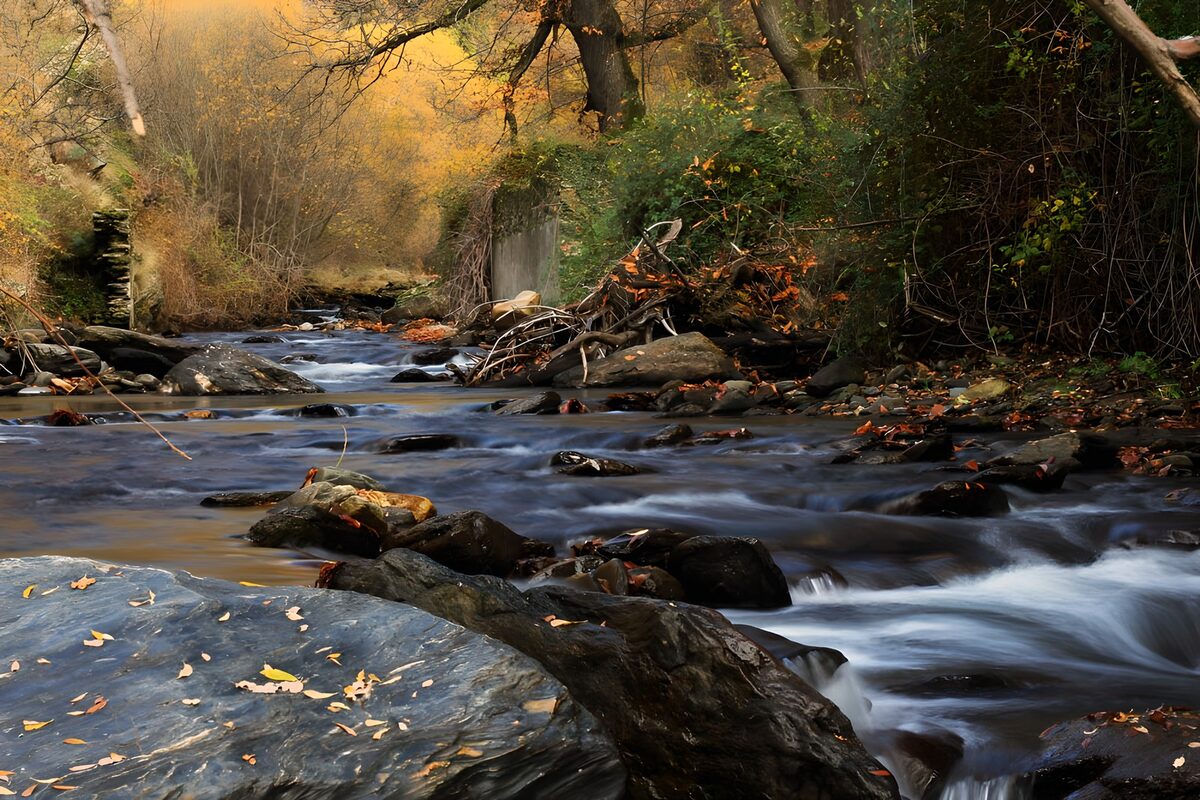 Silberne Wasserbänder im Herbstwald