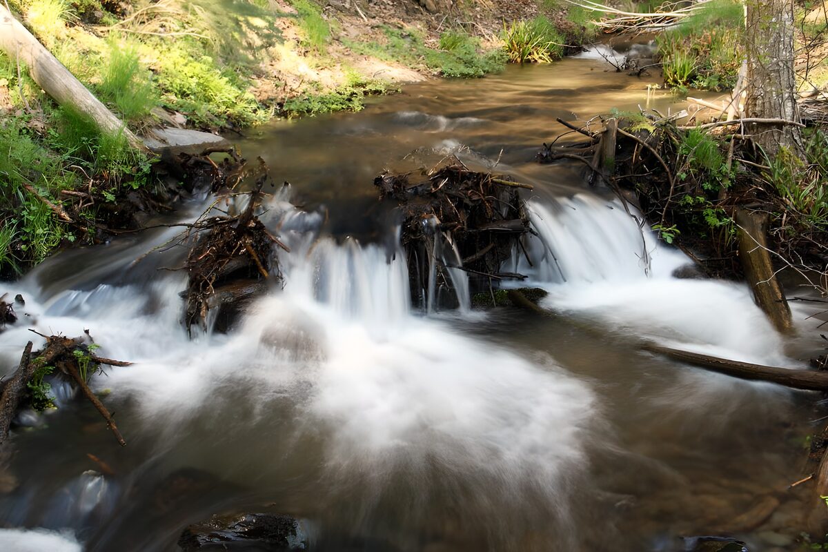 Waldbach mit kleinen Wasserfällen