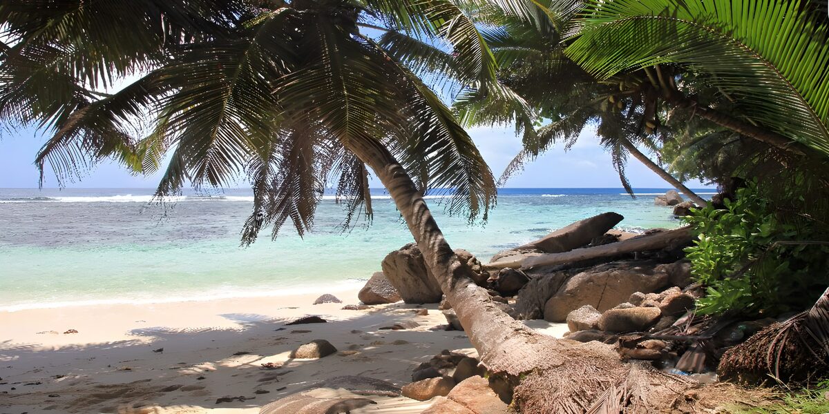 Palmenstrand mit Felsen und türkisblauem Meer