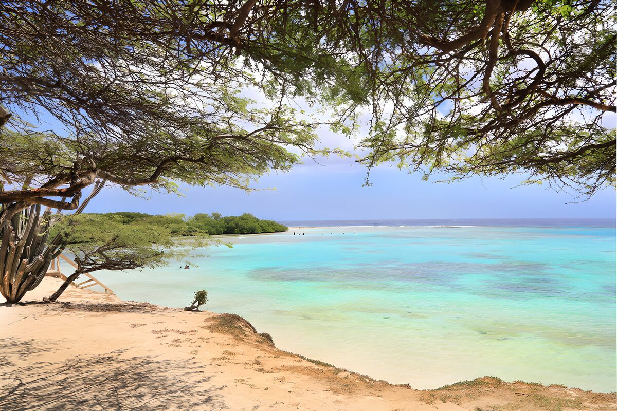 Sandstrand mit Baum und türkisblauem Meer