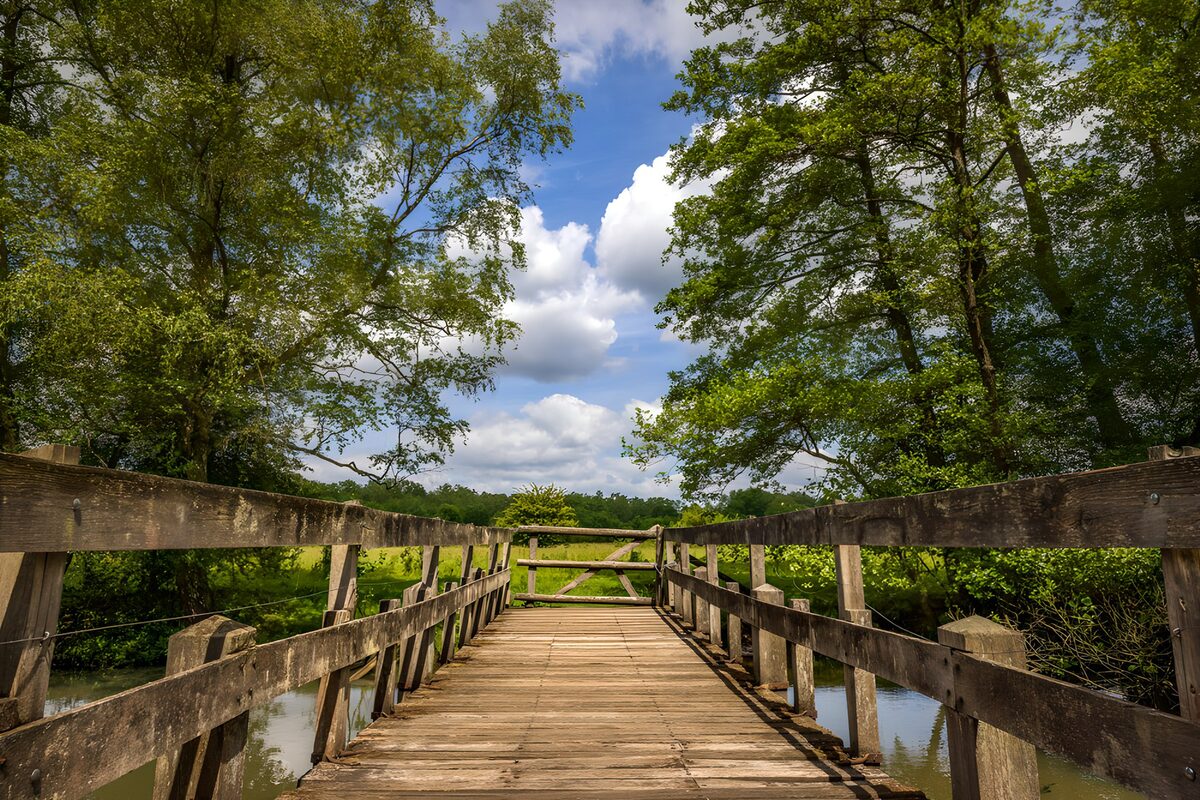 Holzbrücke über stillem Wasser
